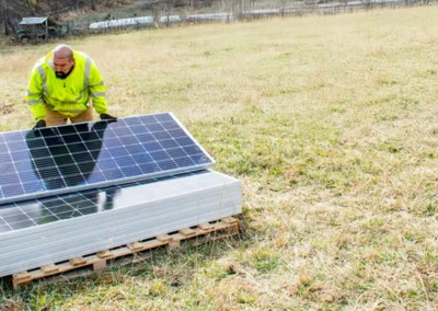 National Economic Transition