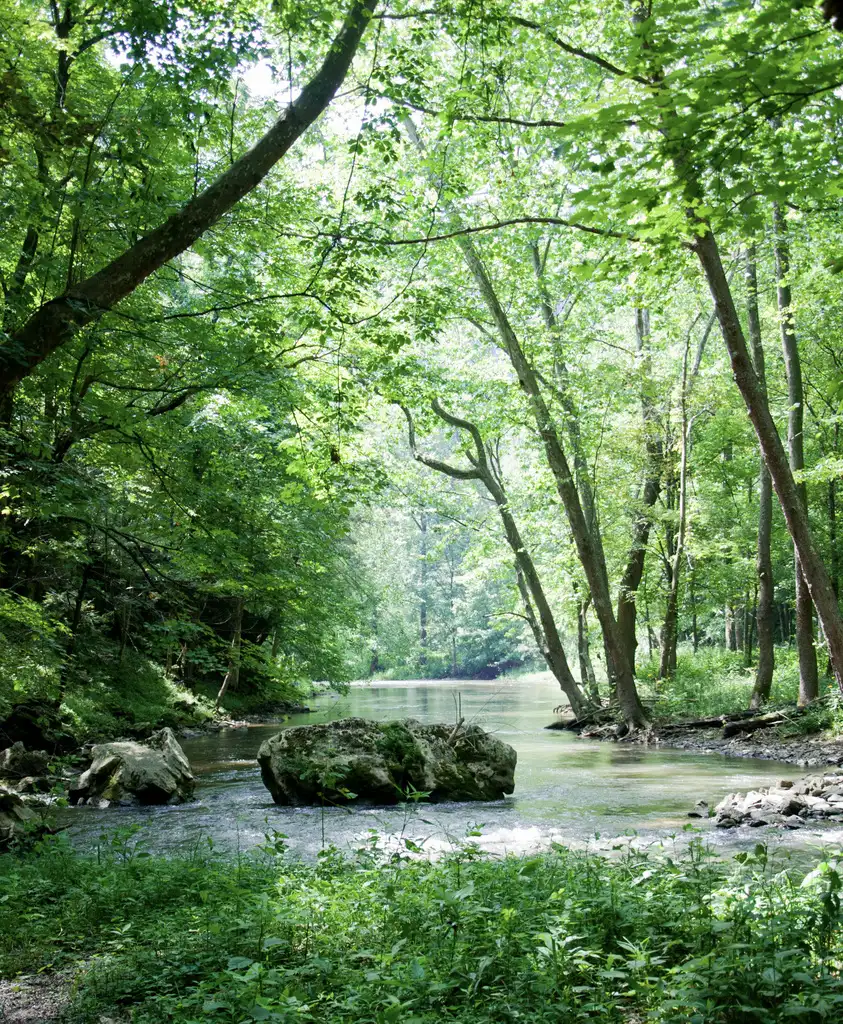 The Clinch River Valley Initiative