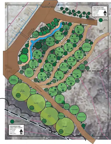 Edible Forest Garden