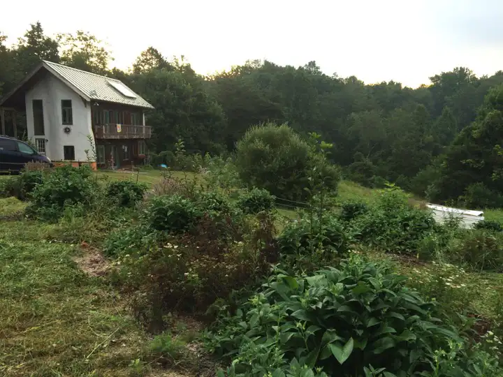 Edible Forest Garden