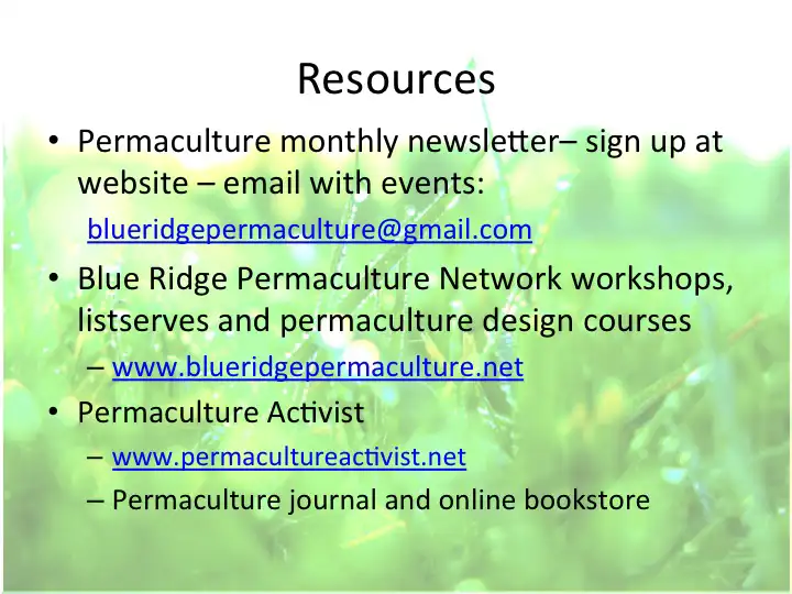 Edible Forest Garden