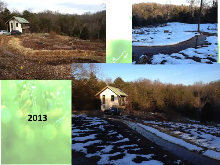 Edible Forest Garden